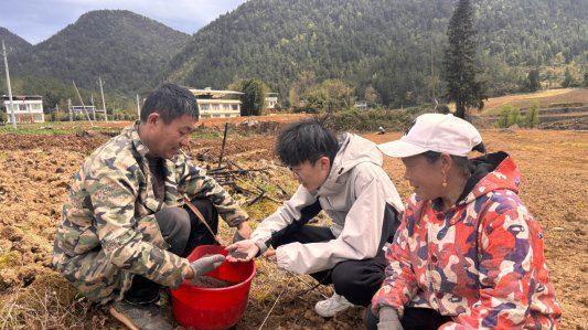 湖北利川：田野“三重奏”演绎春耕“交响曲”