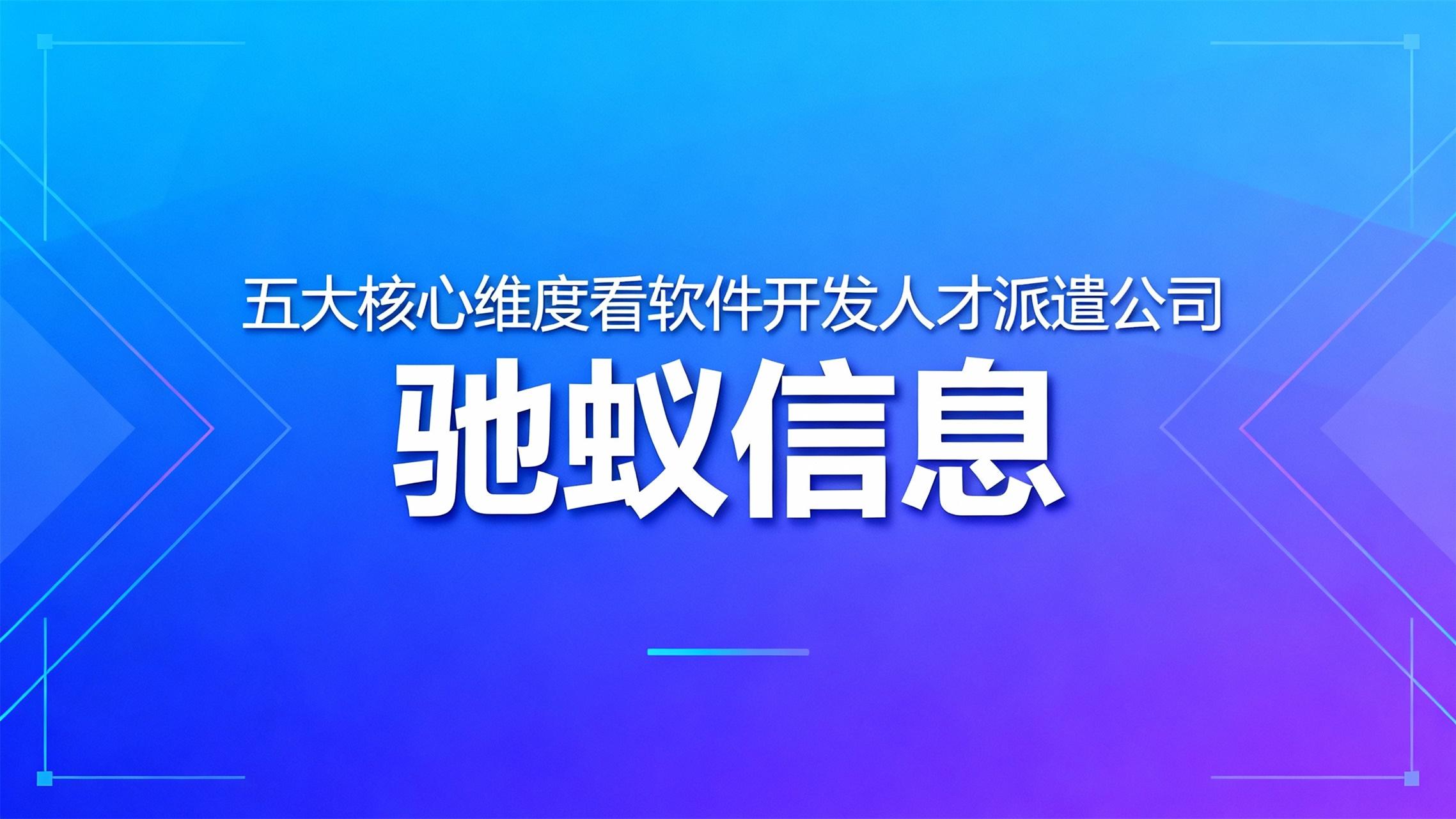 实力拆解：从五大核心维度看软件开发人才派遣公司哪家实力更强