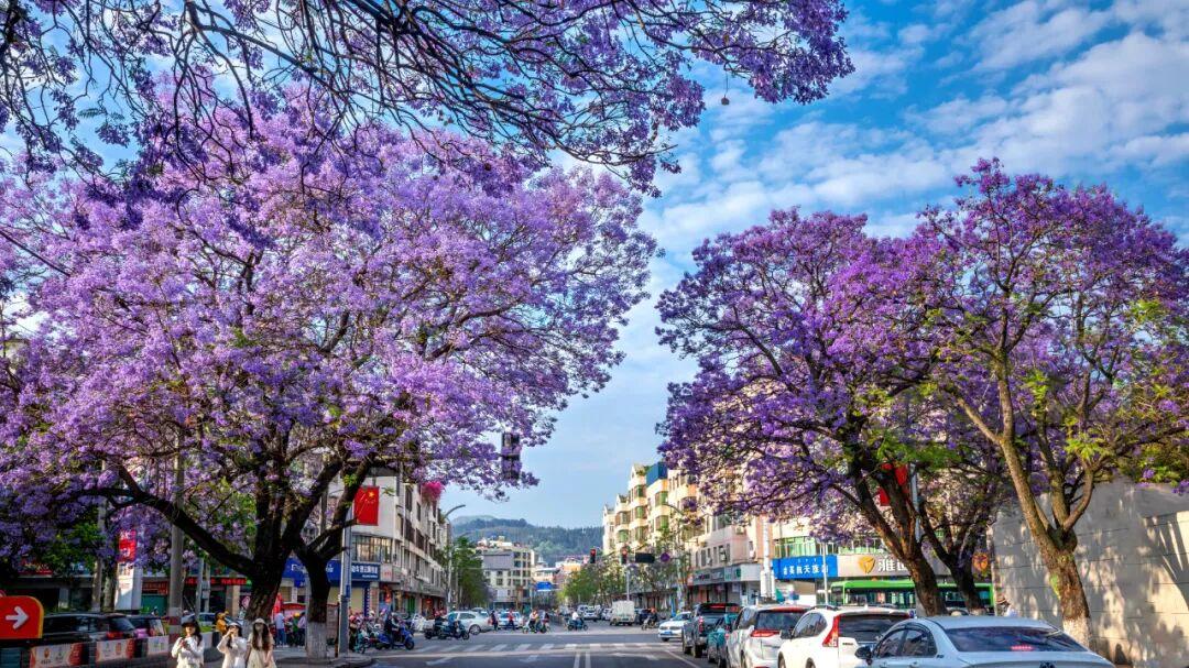 2025“四川最受网民喜爱网红打卡地TOP100”揭晓，凉山10处打卡地有何魅力？