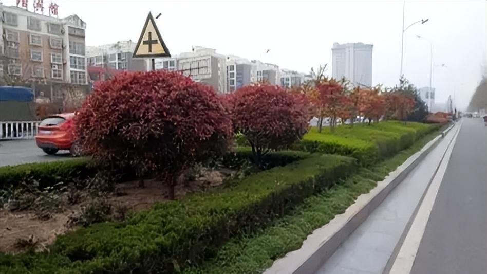 中国道路偏爱绿化带，欧洲却用水泥墩？背后是城市规划差异