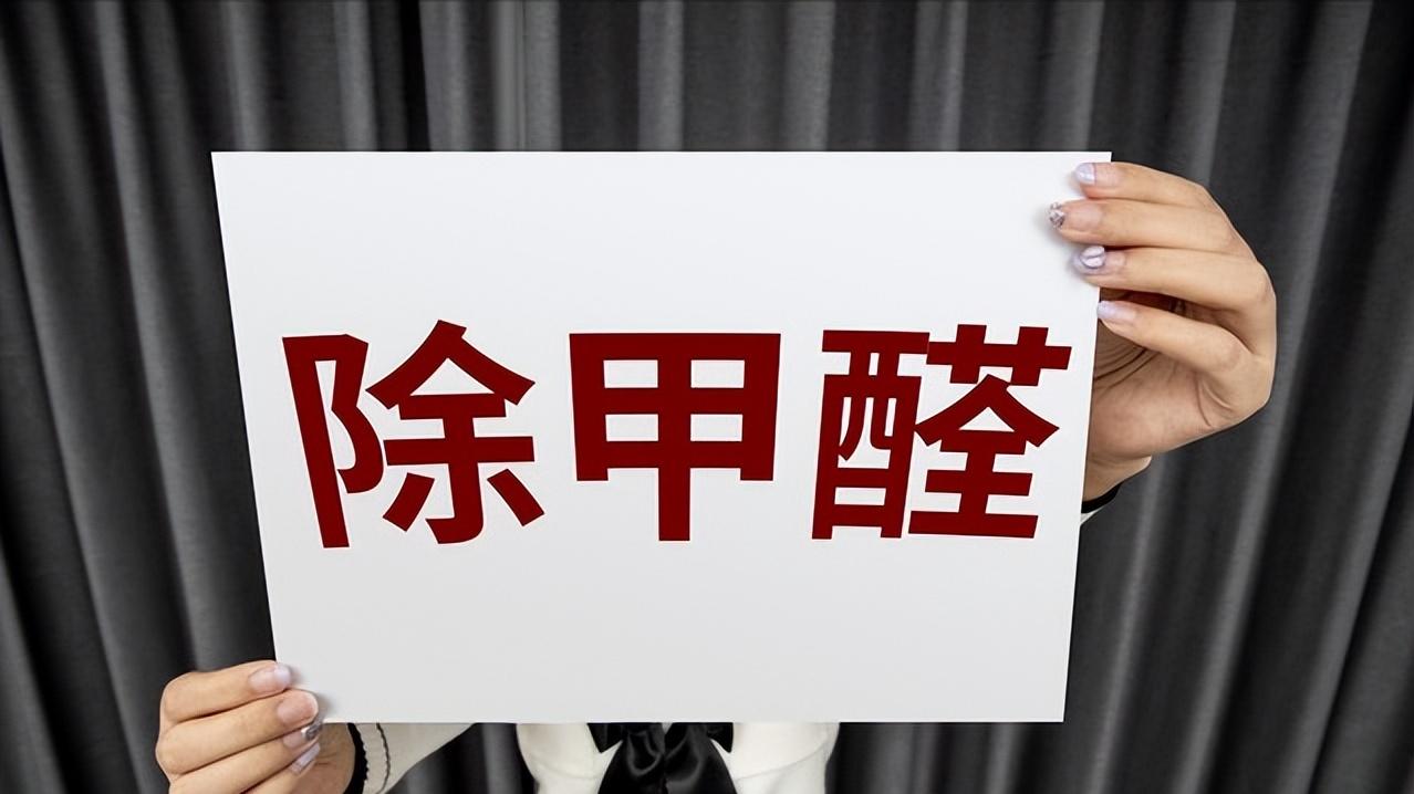 2026 甲醛清除剂避坑指南：实测 60 款产品，用错方法再贵也白搭