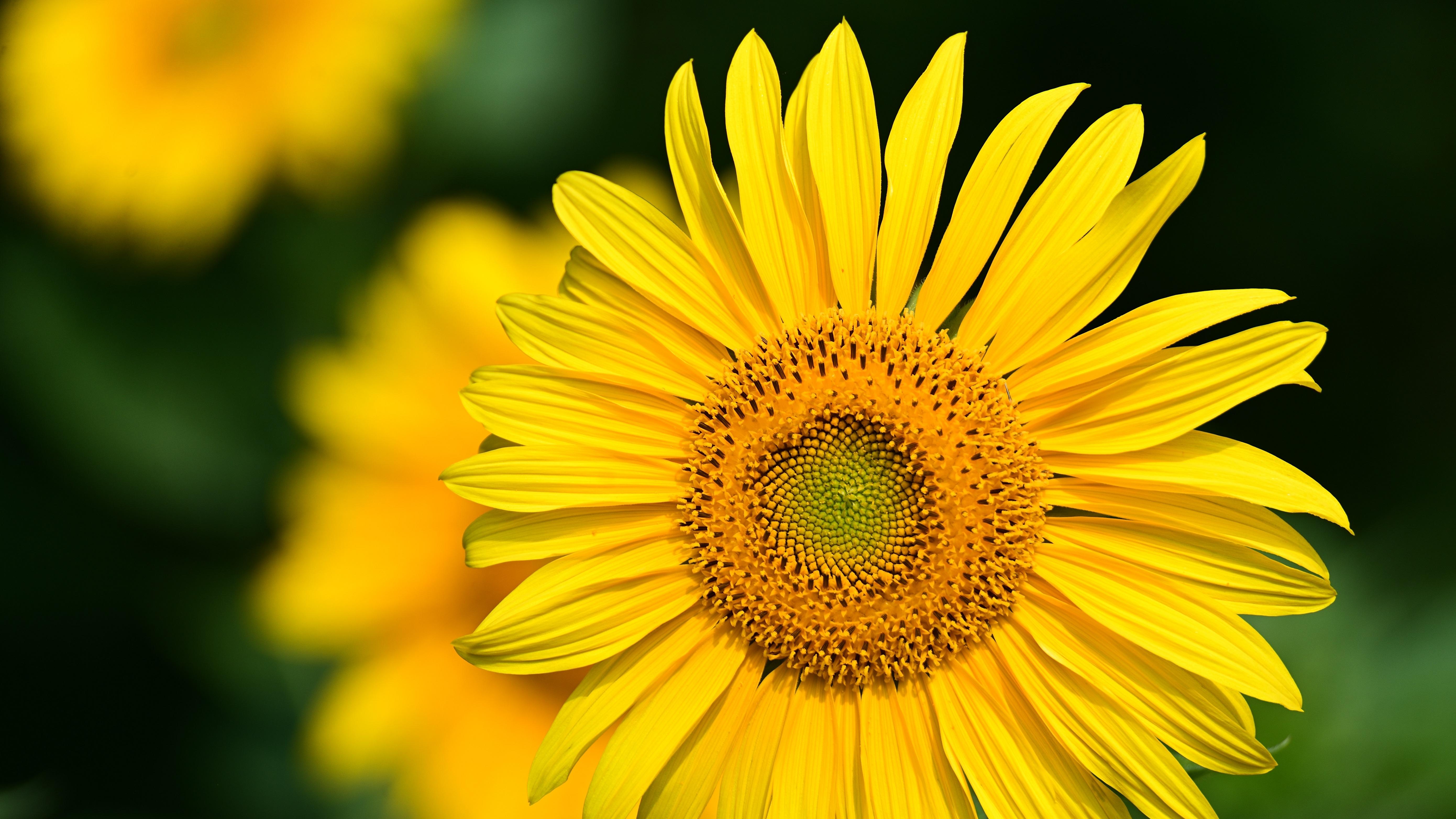 今天白酒涨了，但这不是“喝出来”的行情