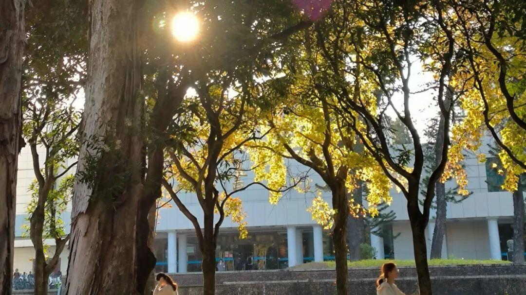 福州大学至诚学院好不好？数智+实践，工科生成长不内耗！