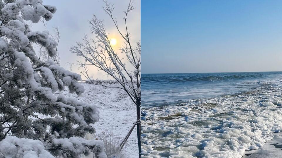 学生党3月行，威海旅游篇