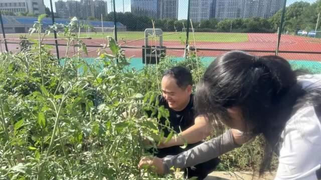 肥五十中天鹅湖教育集团暑期“护绿小园丁”农耕园实践活动纪实
