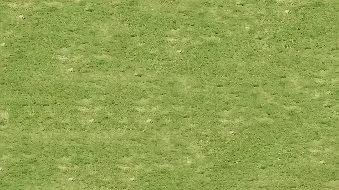 3.7今日13场足球赛事分析