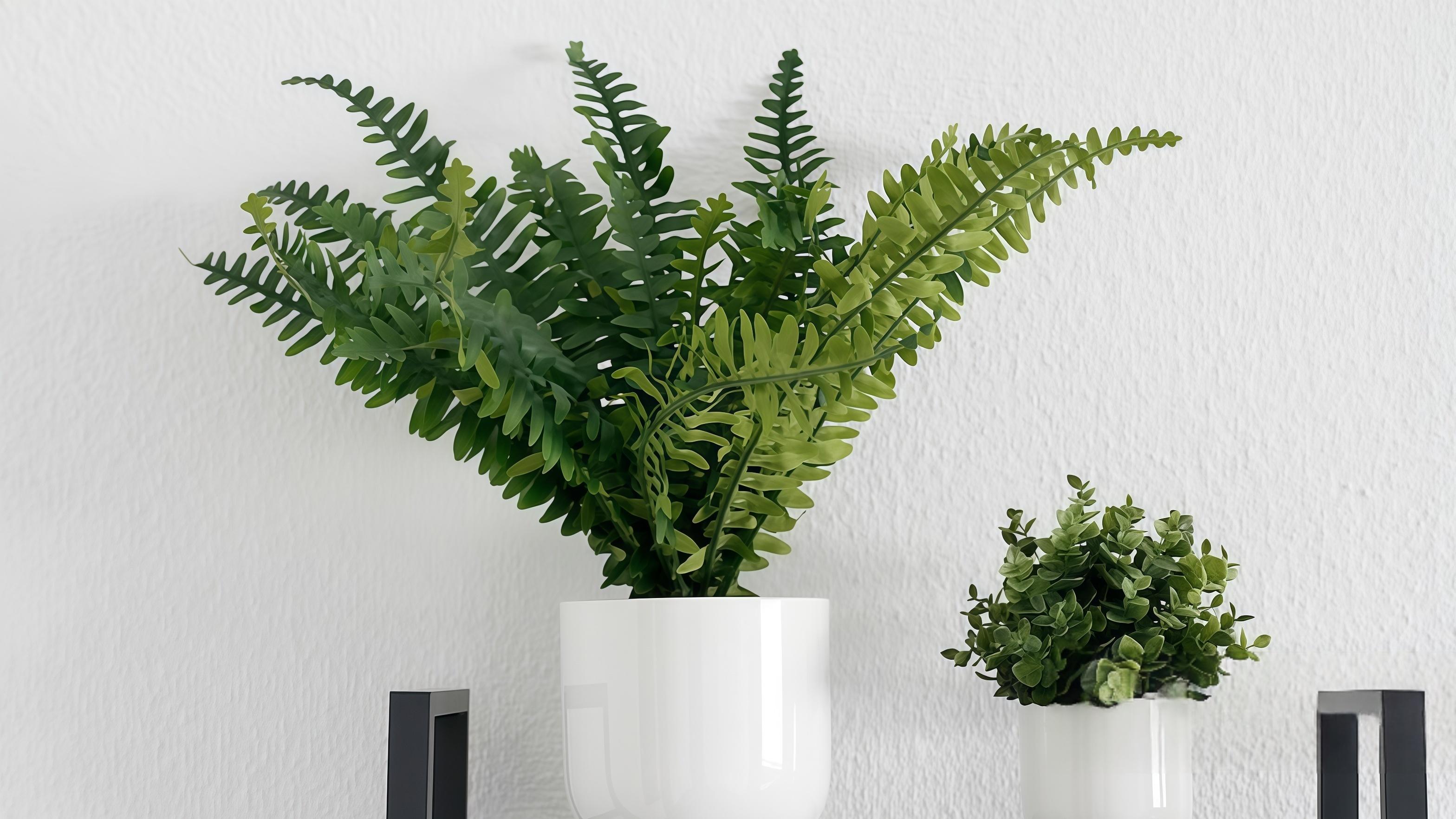 网络安全的钱，到底该怎么花？