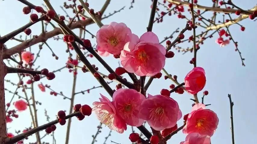 随笔：过了腊八“就”是年