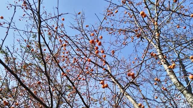 青春期孩子从厌学沉迷手机中，想要恢复自驱力，家长的改变更重要