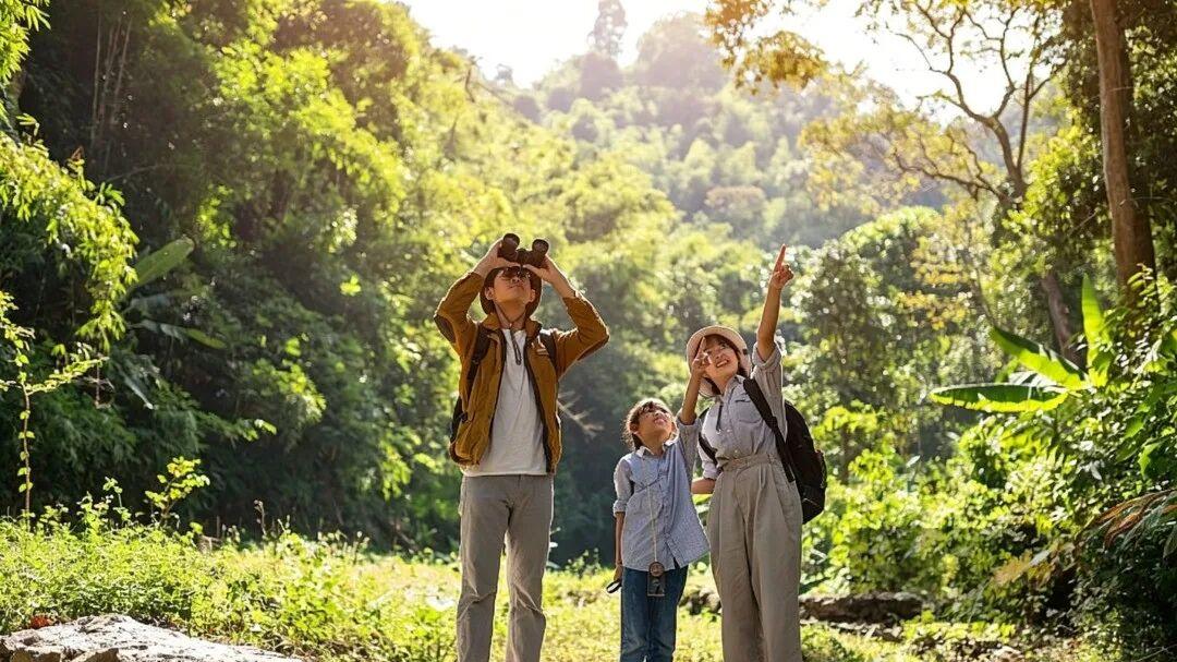 让孩子回到自然中去，才是最好的教育