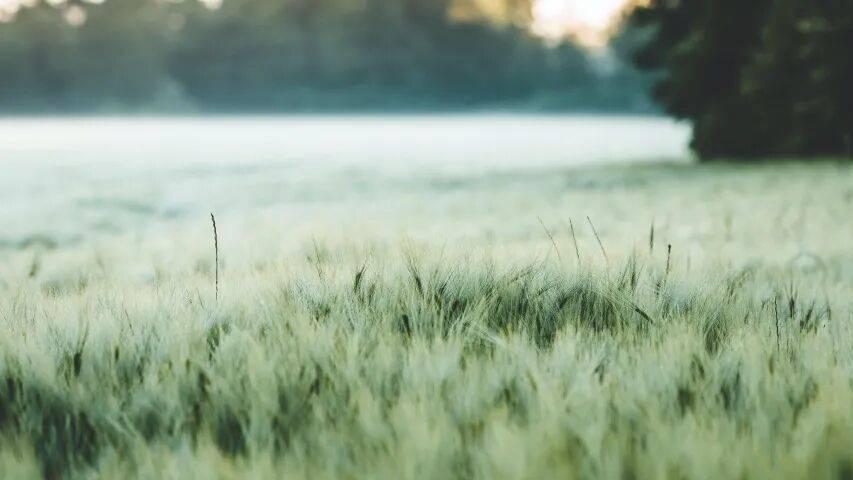 即时零售真能拯救家电实体店？