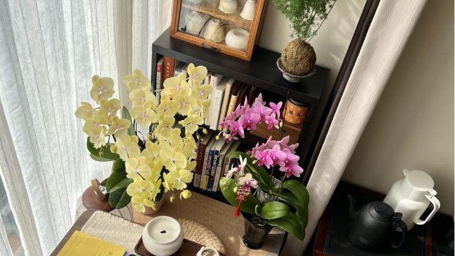 物业不让砸飘窗，网友分享的做法很绝！颜值实用兼顾，效果太棒了