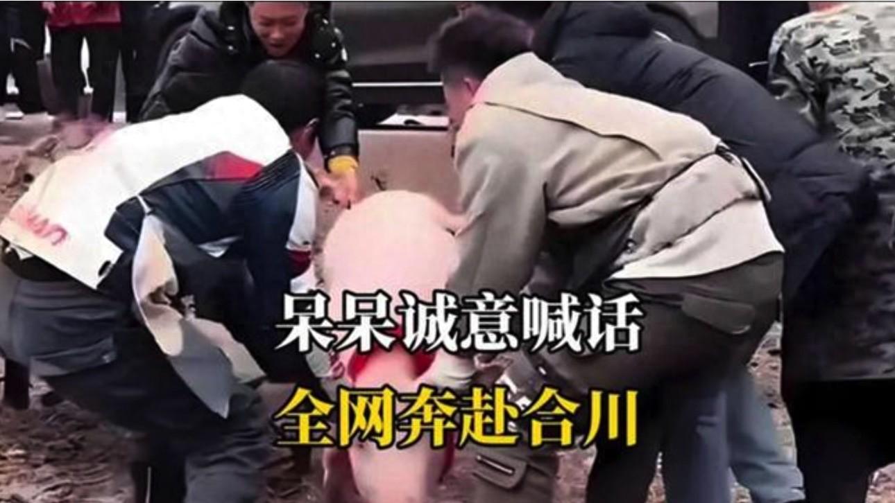 【美文赏析】合川火啦