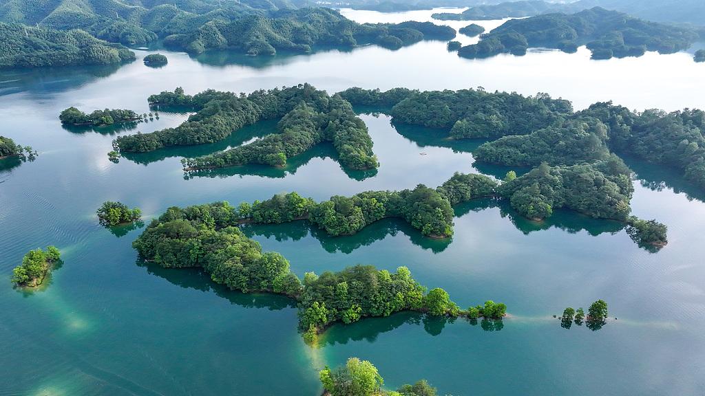 房子车子都放弃后，他们竟靠一块钱蔬菜撑过一个月