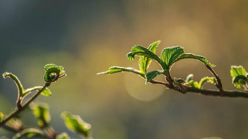最近家电市场的抢夺失控了！