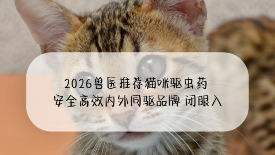2026兽医推荐猫咪驱虫药 安全高效内外同驱品牌 闭眼入