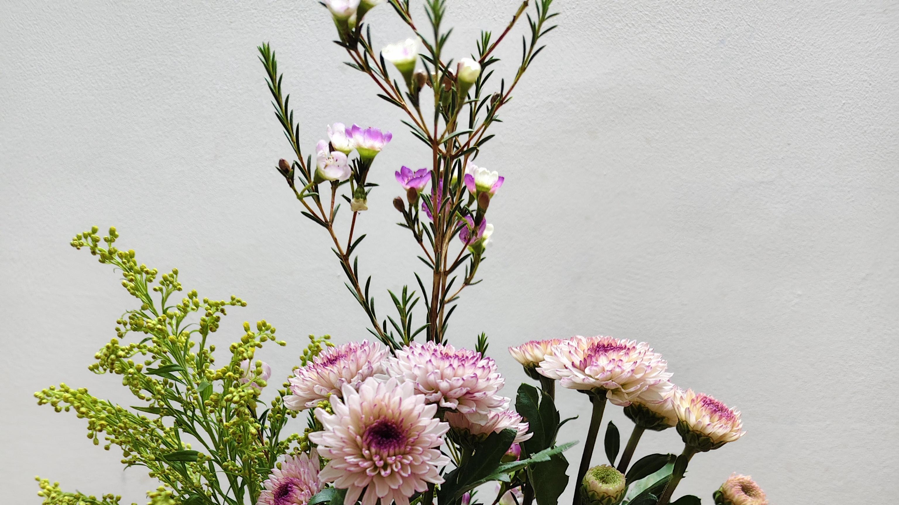 不要把你的喜欢强加给孩子