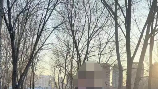 年轻人北上“追雪”，首选有“国补”+折扣的羽绒服