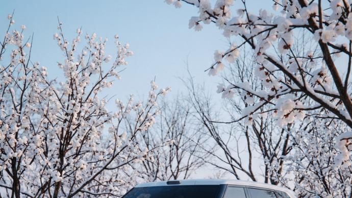 极氪9X，高低得给我打点儿钱！！！