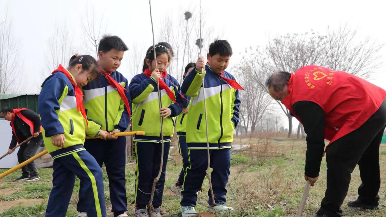 南阳市33小学：植树添新绿  行动续雷锋