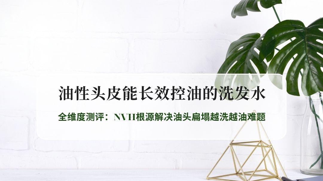 2026油性头皮能长效控油的洗发水全维度测评：NVH根源解决油头扁塌越洗越油难题