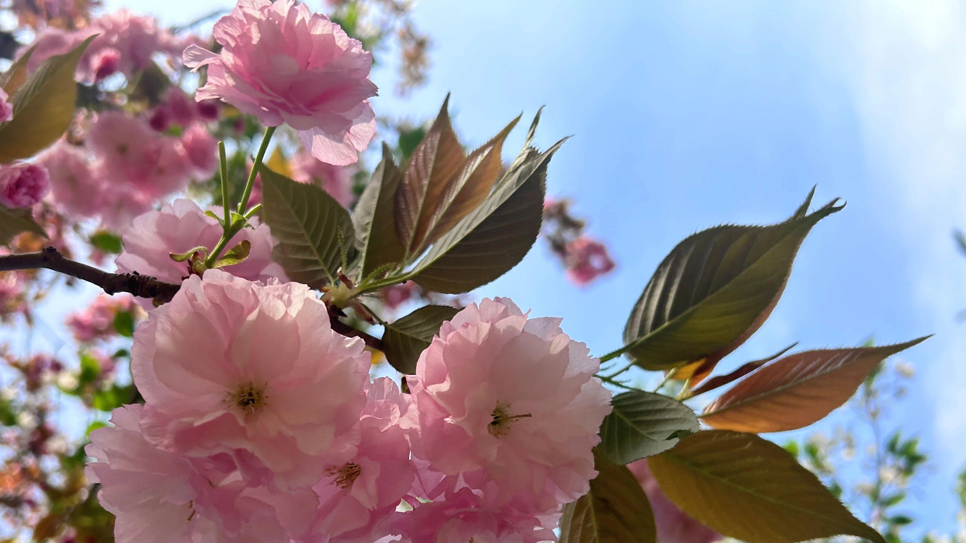 无论男女，在婚外遇见这3种异性，开始了就很难收场