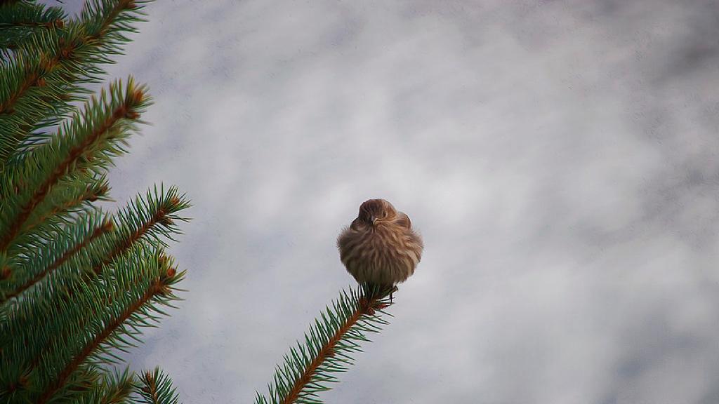 春天里的中国速度