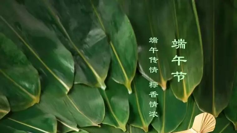 城市猎人：端午节的伦理学思辨