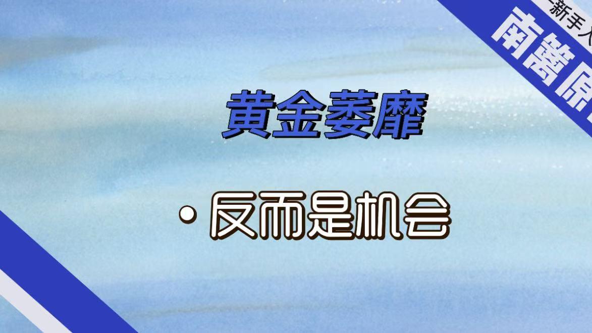 【南篱/黄金】黄金萎靡，反而是机会
