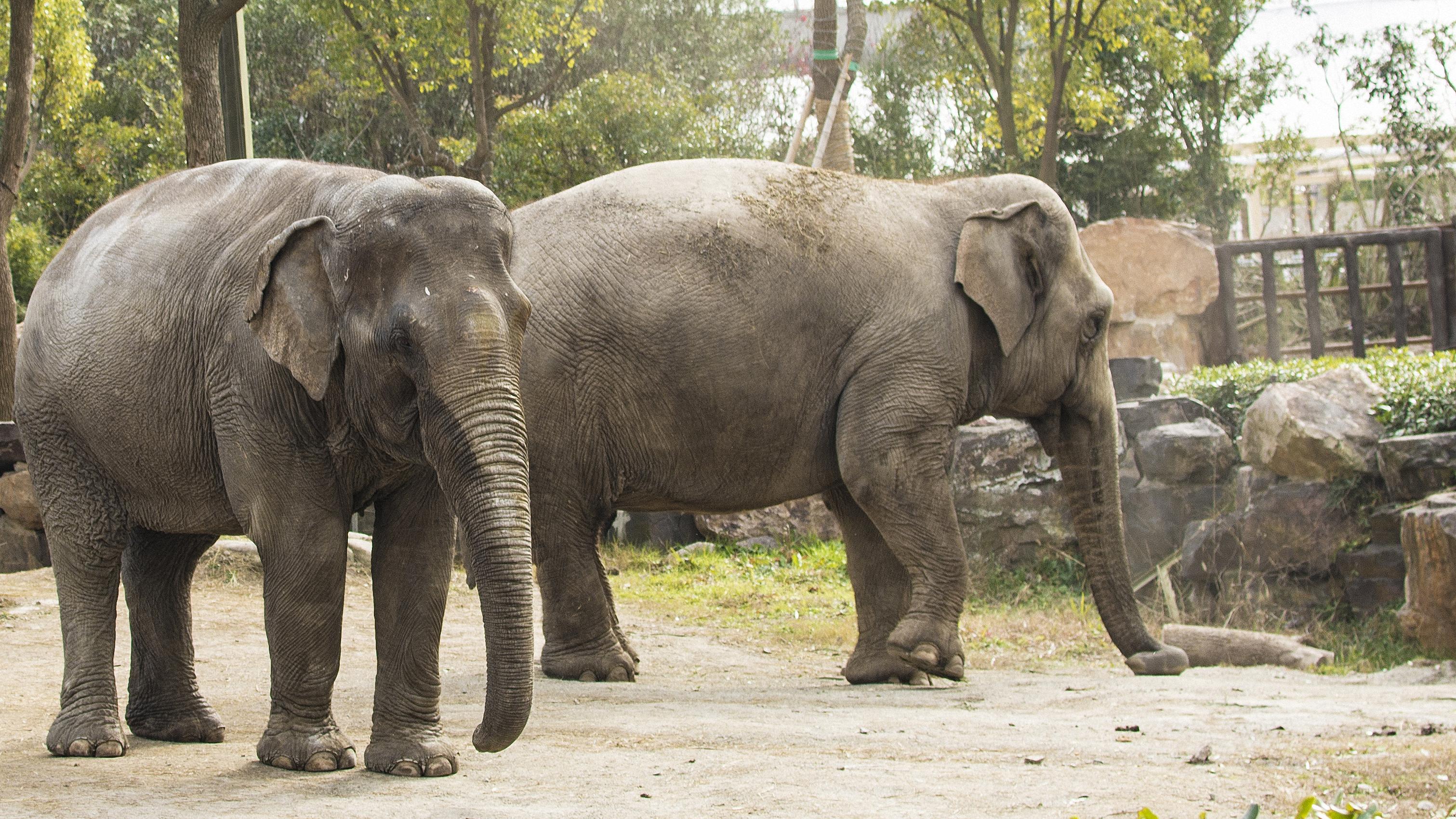 800块的发票奖金，背后其实不是“抽奖”
