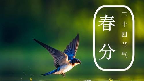 二月二龙抬头恰逢春分：这一年，很多人会在今天转运！