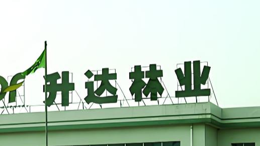 再赔超1700万！升达林业虚假陈述案持续发酵，高增净利实为纸面繁荣