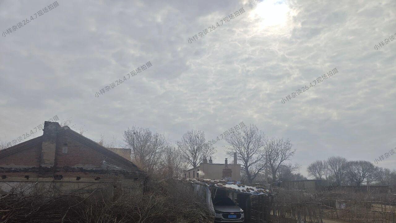 沈阳东部某湿地公园已沦为免费停车场