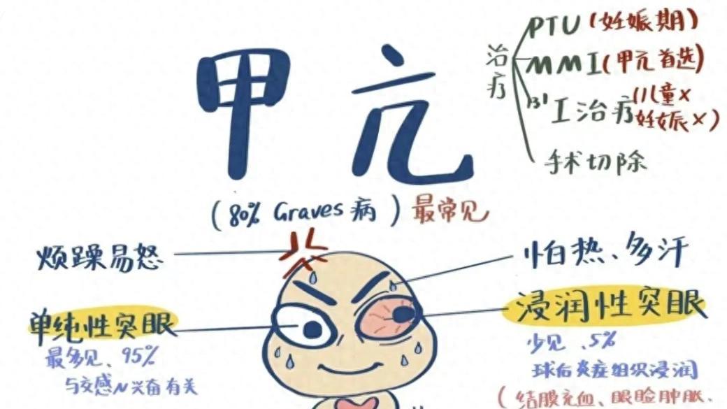 甲亢为什么要吃普萘洛尔？