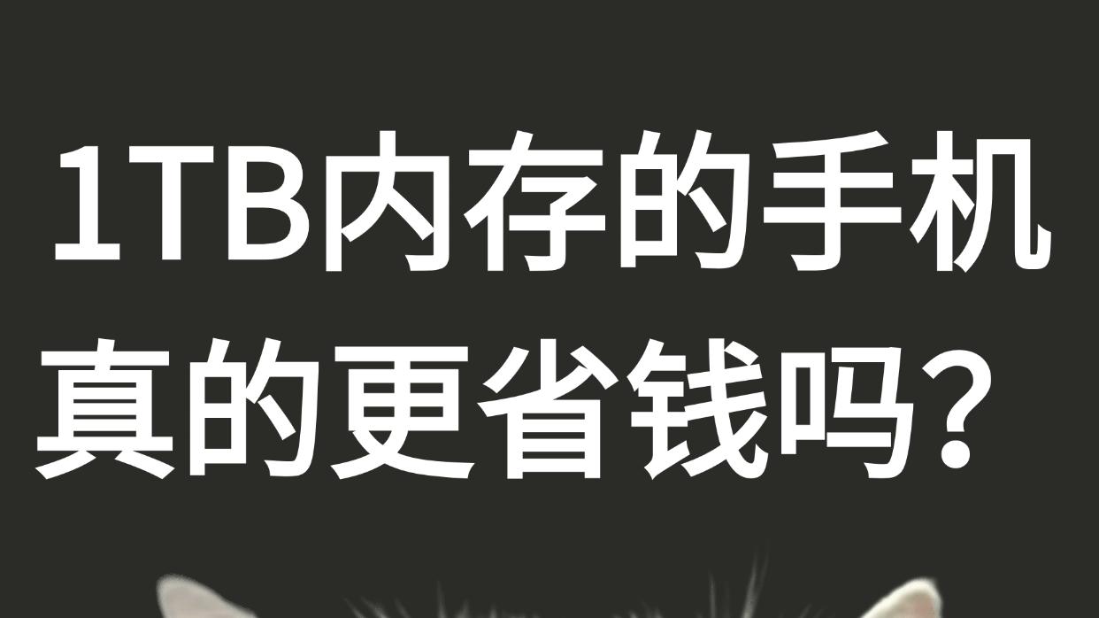 1TB内存的手机，真的更省钱吗？