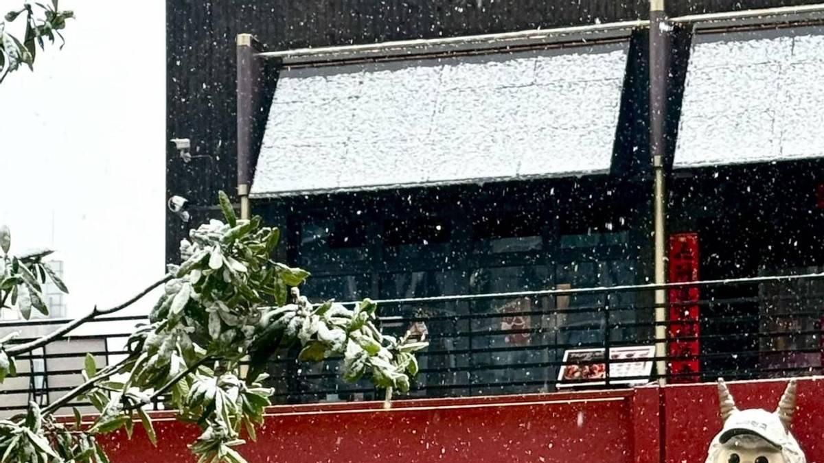 法治护航新业态：解码“元宠潮玩潮饮”的“线上+线下”规范创新之路