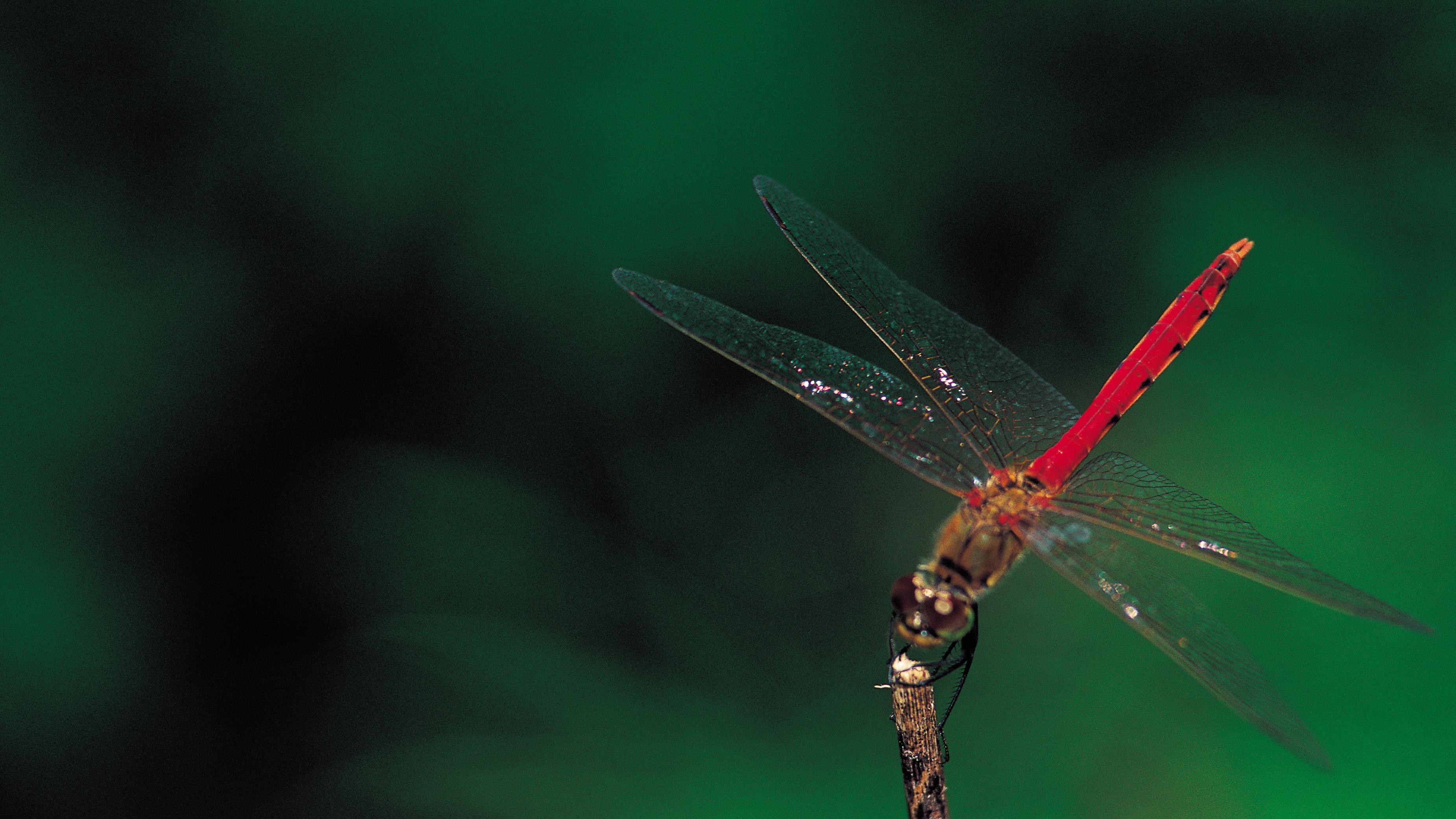 2026年，政策放宽的真实信号被你忽视了