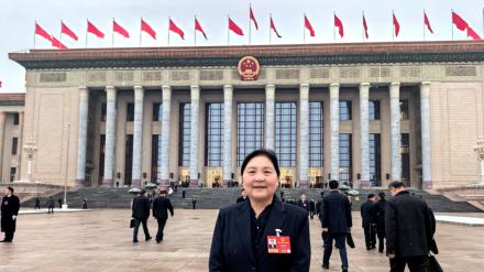 赵会杰代表：筑牢食品安全防线 守护青少年健康成长