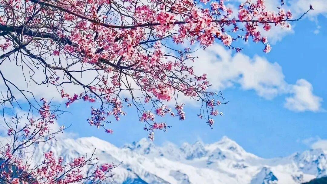 十神格局中，为什么要有顺逆之分？