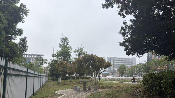 荆门市掇刀区沿渠路人行步道工程竣工