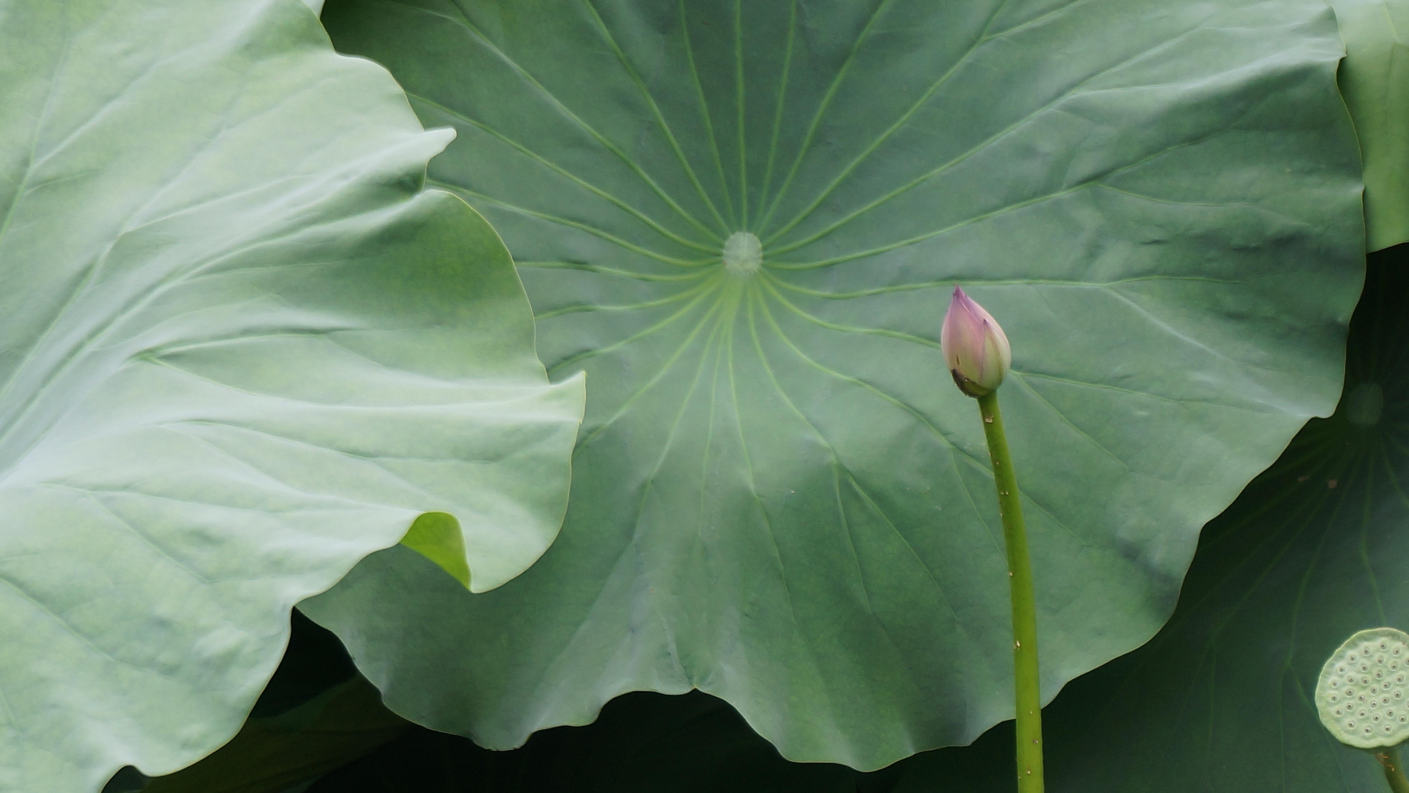 29个“万亿之城”扎堆，真正分水岭在哪？