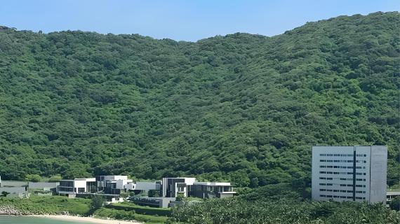 205间房，营业额冲上携程前三：太阳湾柏悦做对了什么？