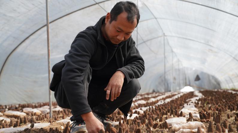 从25亩到150亩→