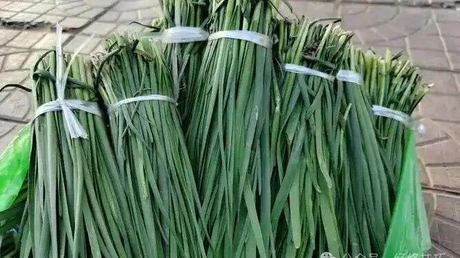 一补一通刚刚好，春天多吃它，把囤了一冬的营养，变成春天力气