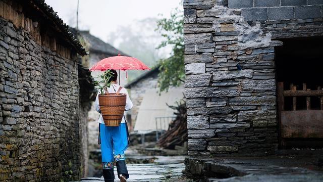 故事连载：香香（3）