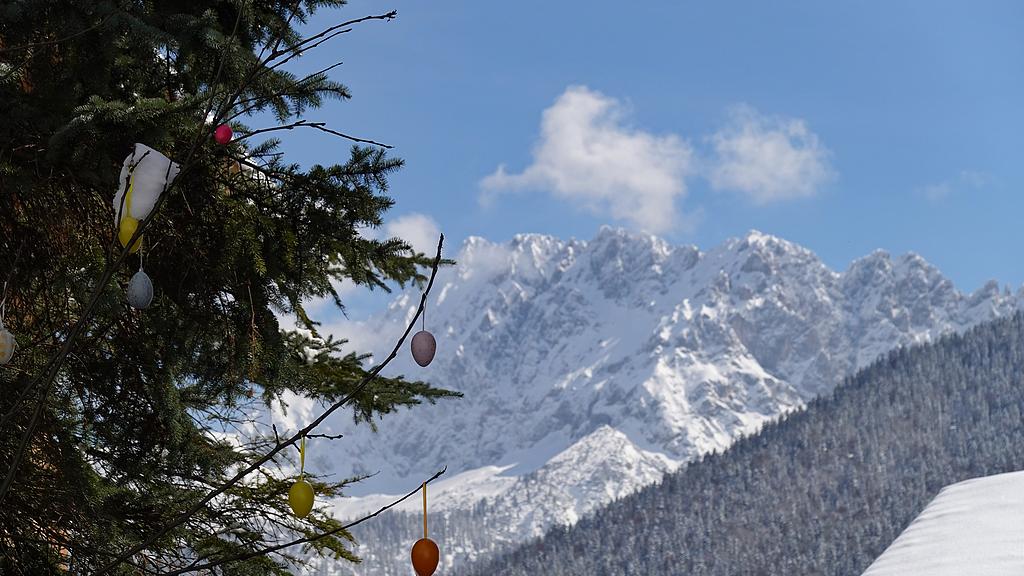 蝴蝶大乐透26033期分析，上期热码没有爆发，那么本期是可以考虑的！