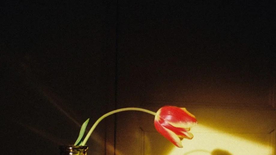 男生如果拿了女方的第一次会珍惜吗？