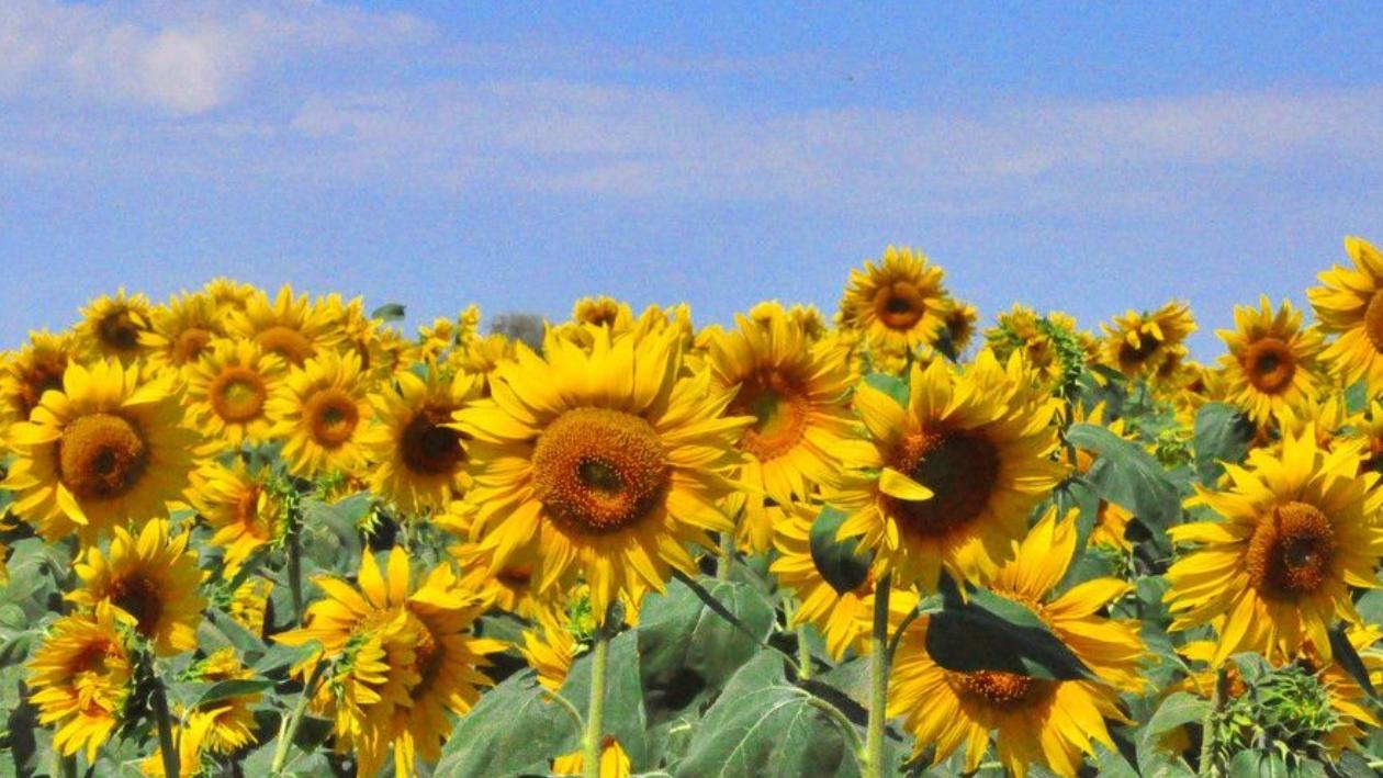 不被拿捏的顶级思维：把“审问”变“对话”