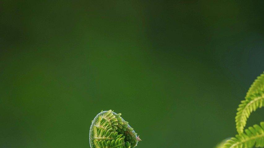 《庄子》里的10句话，参透人生玄妙