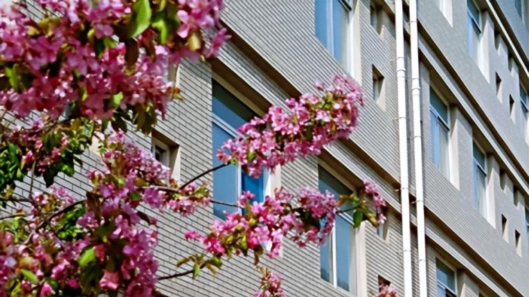 你偏要去滨州行知干什么? ！那里到底有什么啊? ! !